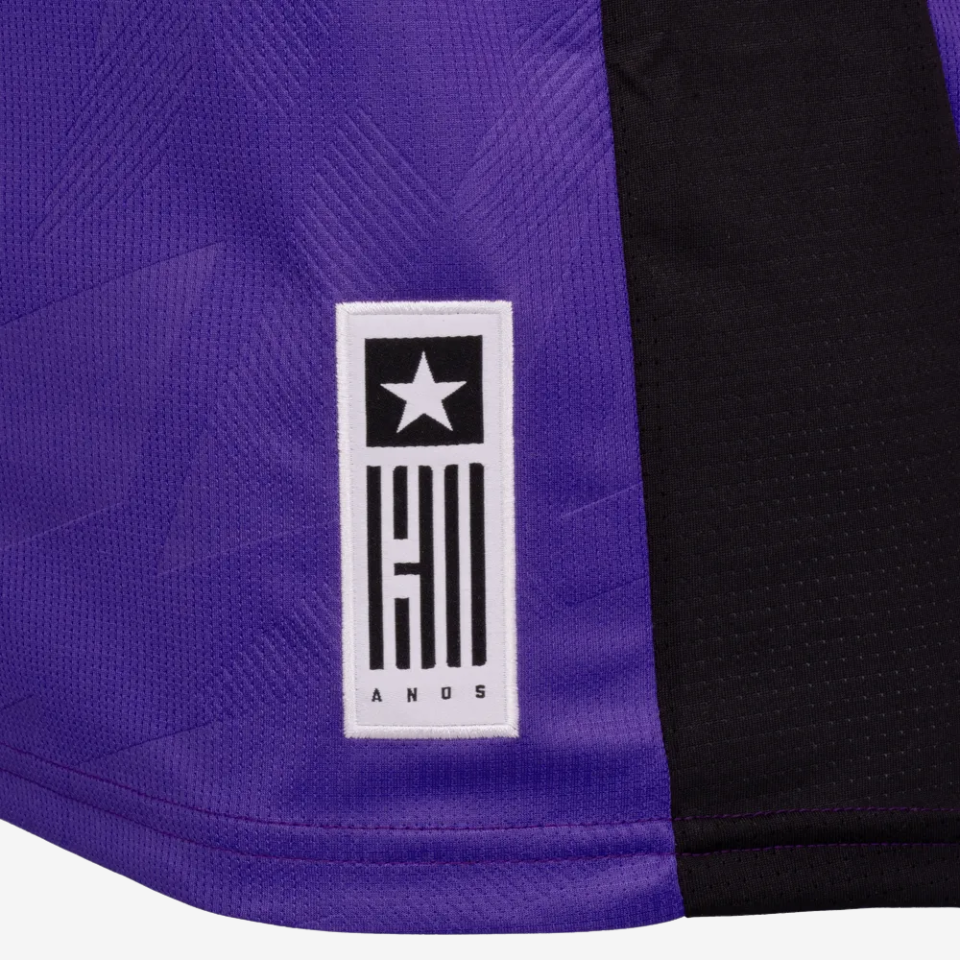 Camisa Botafogo 2024/25 Fourth Goleiro – Torcedor