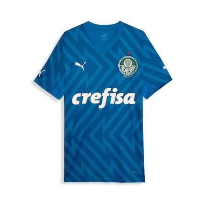 Camisa Palmeiras 2024/25 Goleiro Home – Torcedor