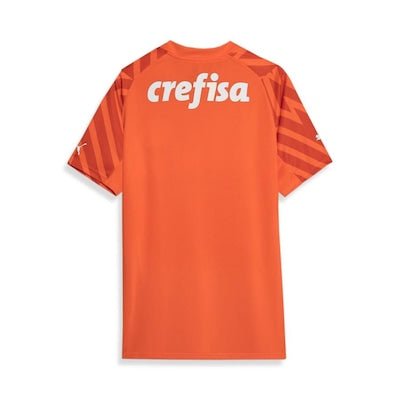 Camisa Palmeiras 2024/25 Goleiro Third – Torcedor