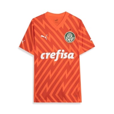 Camisa Palmeiras 2024/25 Goleiro Third – Torcedor