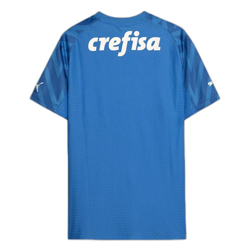 Camisa Palmeiras 2024/25 Goleiro Home – Jogador