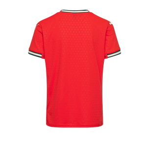 Camisa do Portugal 2025/26- Home