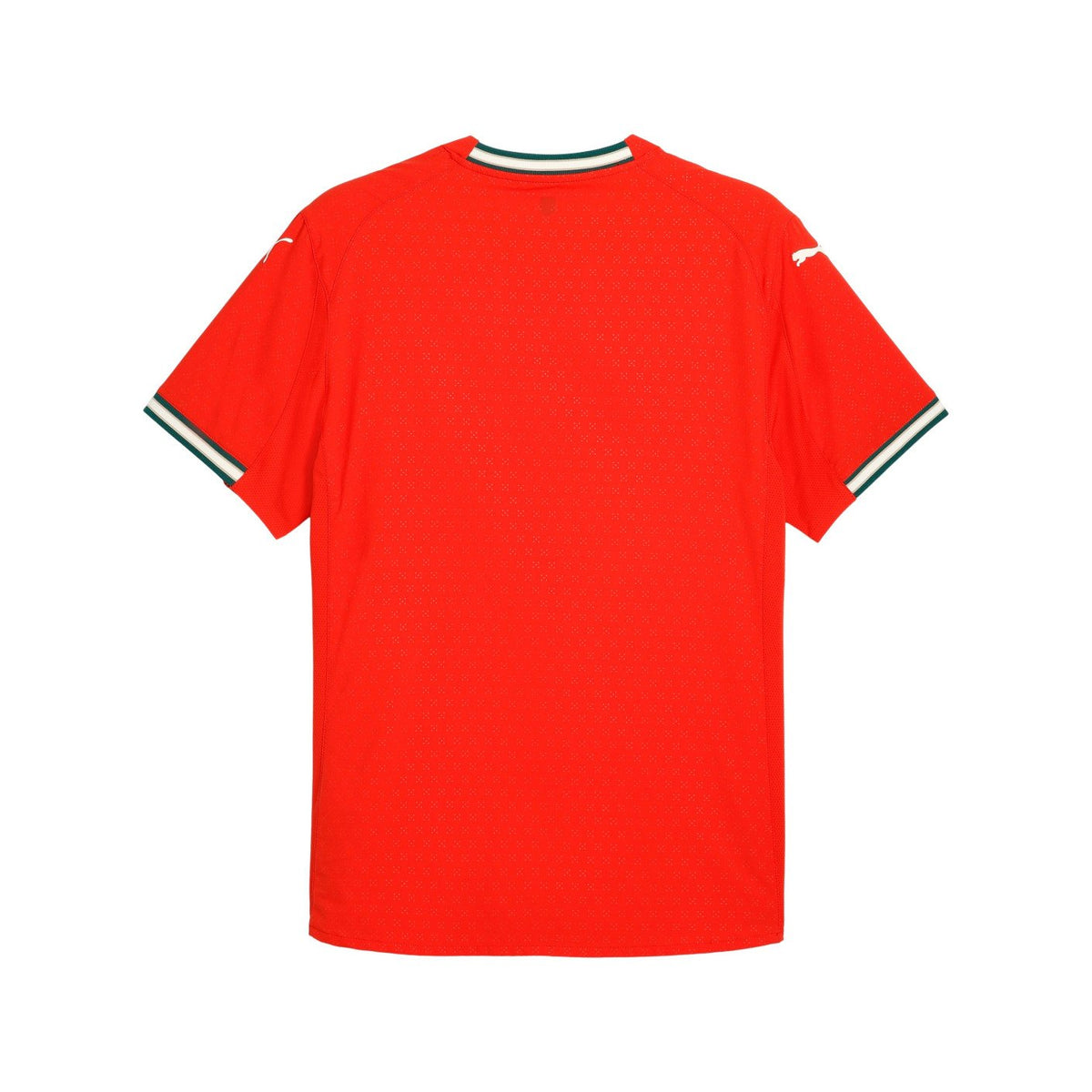 Camisa Portugal 2025/26 Home – Jogador