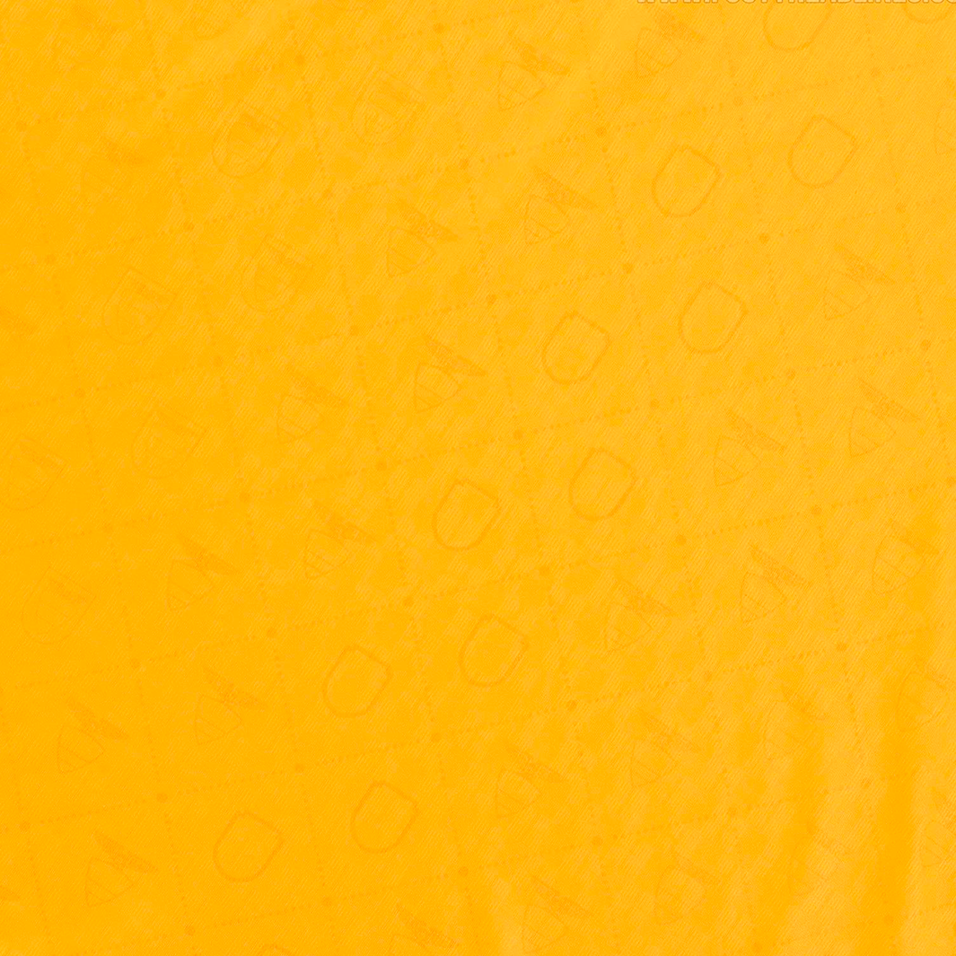 Camisa Equador 2025 Home Centenário – Torcedor