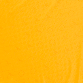 Camisa Equador 2025 Home Centenário – Torcedor