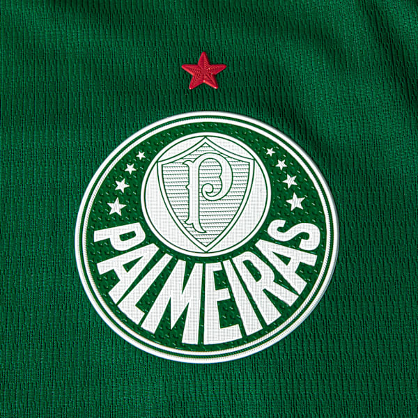 Camisas Palmeiras Torcedor Masculina 2026/27 - Verde