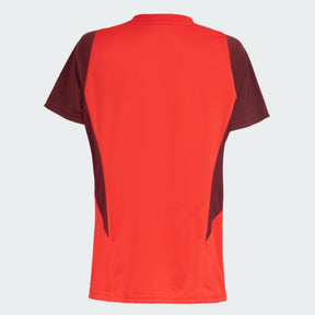 Camisa Internacional 2024/25 Treino – Feminina