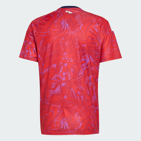 Camisa Costa Rica 2026/27 I
