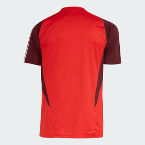 Camisa Internacional 2024/25 Treino – Torcedor