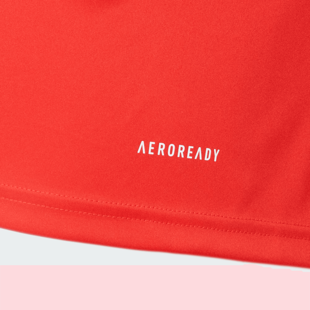 Camisa Internacional 2024/25 Treino – Torcedor