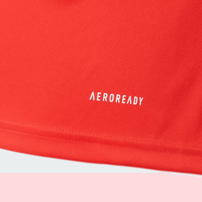 Camisa Internacional 2024/25 Treino – Torcedor