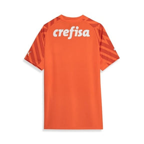 Camisa Palmeiras 2024/25 Goleiro Third – Torcedor
