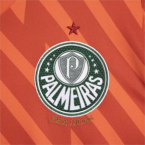 Camisa Palmeiras 2024/25 Goleiro Third – Torcedor