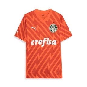 Camisa Palmeiras 2024/25 Goleiro Third – Torcedor
