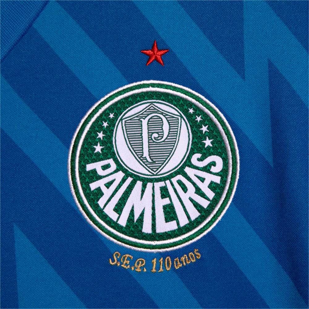 Camisa Palmeiras 2024/25 Goleiro – Feminina